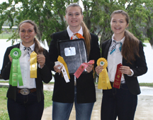 State Horse Jud and Hipp 2018 (31)