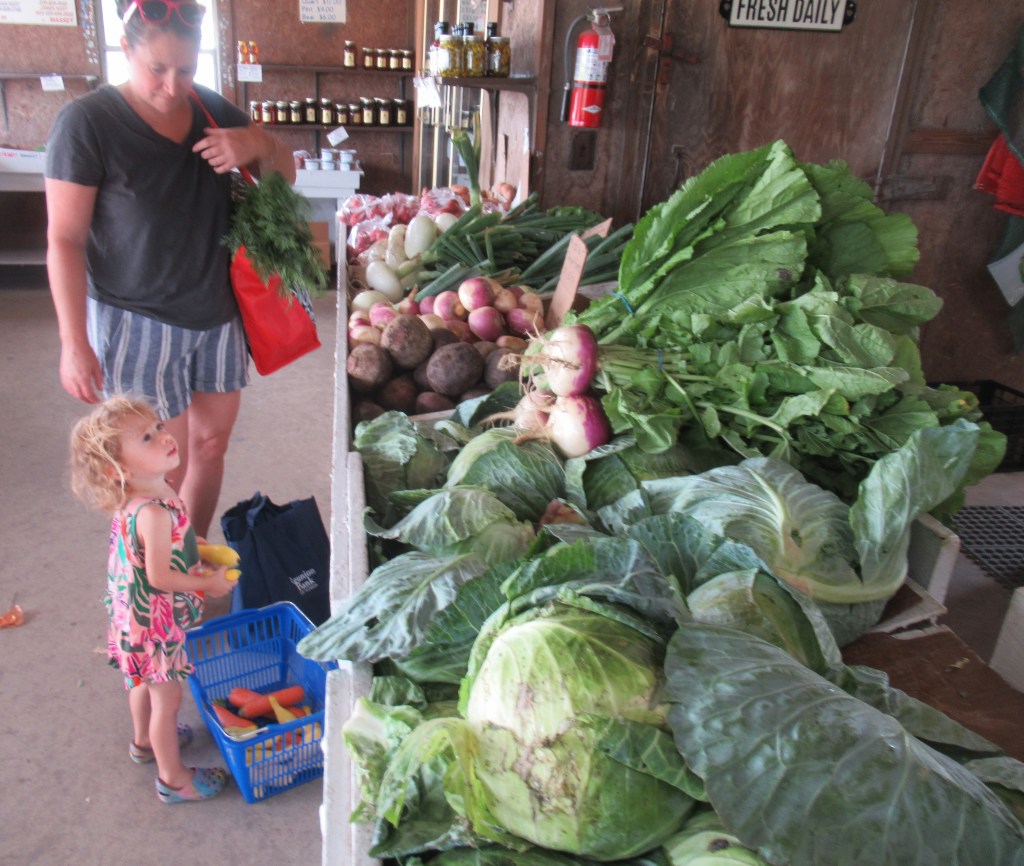 Photos by Marcia Lane
